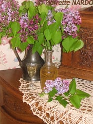 liqueur au lilas