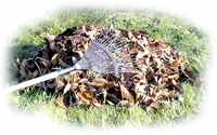 tas de feuilles mortes