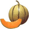 melon et tranche