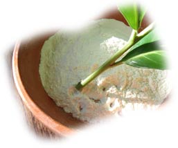 tremper la base de la bouture dans de l'hormone de bouturage
