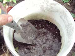 terreau de rempotage avec perlite