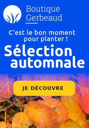 boutique Gerbeaud