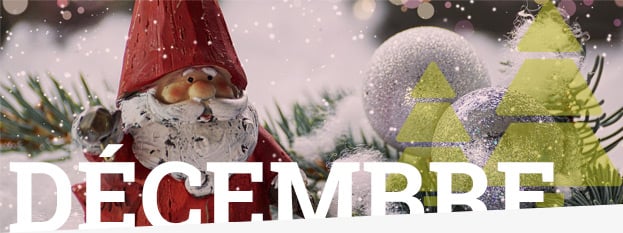 nos conseils de jardinage pour décembre