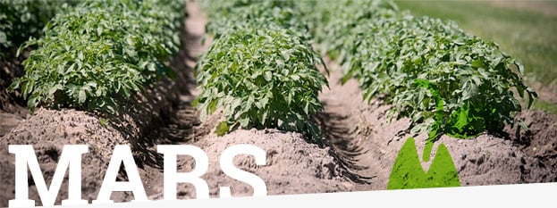 nos conseils de jardinage pour mars