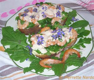 crevettes sur un lit de roquette
