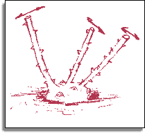 rosier :  rabattre les branches